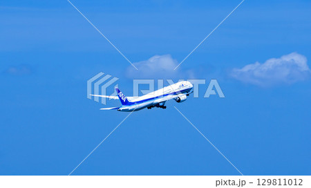 ANA機が青空へ離陸していく ANA機が青空へ離陸していく 129811012