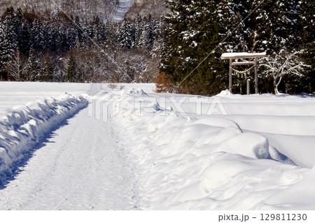 雪に覆われた道の先に神社の鳥居と山が見える風景 129811230