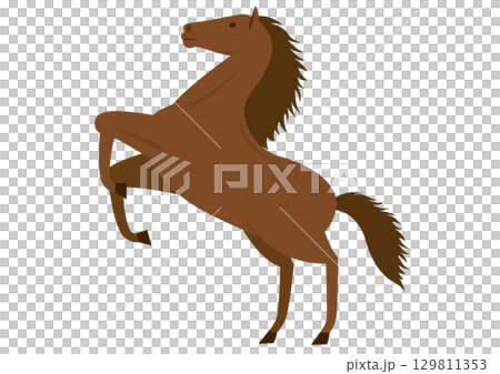 Side view illustration of a brown horse standing up 129811353