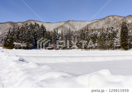 雪に覆われた畑の向こうに山が見える景色が綺麗 雪に覆われた畑の向こうに山が見える景色が綺麗 129811939