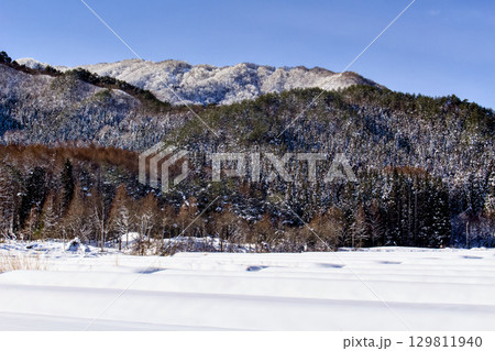 雪に覆われた畑の向こうに山が見える景色が綺麗 雪に覆われた畑の向こうに山が見える景色が綺麗 129811940