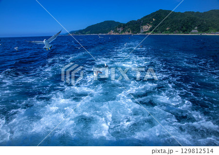 笹川流れ 129812514