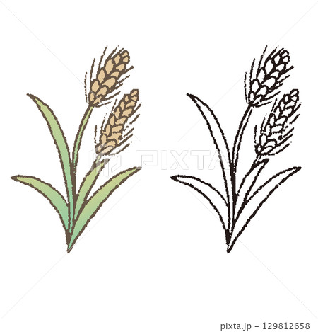 ペンで描いた風小麦 ペンで描いた風小麦 129812658