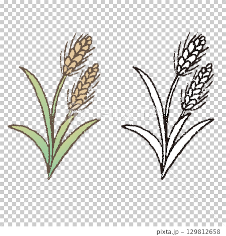 ペンで描いた風小麦 ペンで描いた風小麦 129812658