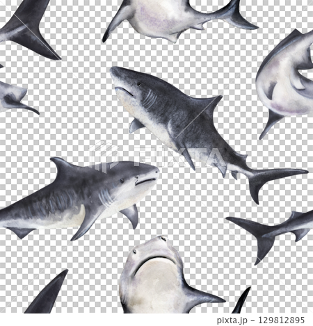 Watercolor seamless pattern with sharks on white background Watercolor seamless pattern with sharks on white background 129812895
