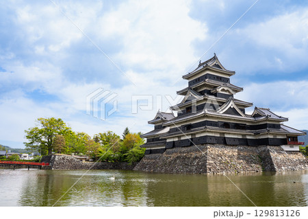 夏空に映える国宝松本城 129813126