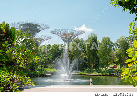 Gardens by the Bay Supertrees and fountain in Singapore 129813513