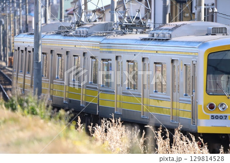 大雄山線沿いの道と電車 大雄山線沿いの道と電車 129814528