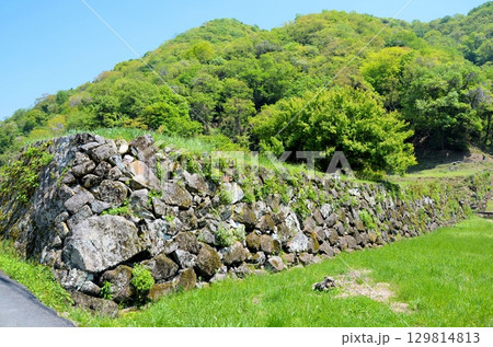 利神城跡 平福御殿屋敷跡 南石塁 利神城跡 平福御殿屋敷跡 南石塁 129814813