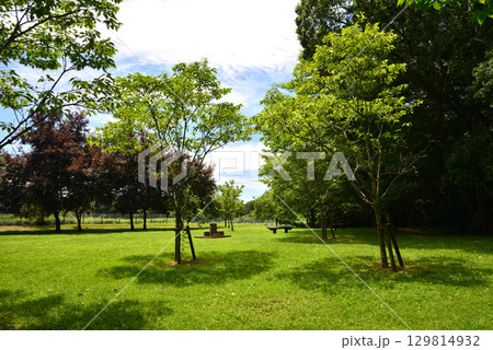 涸沼自然公園　2025-6-28　＃60 129814932