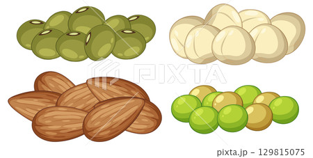 Assorted Nuts and Seeds Vector Illustration Collection 129815075