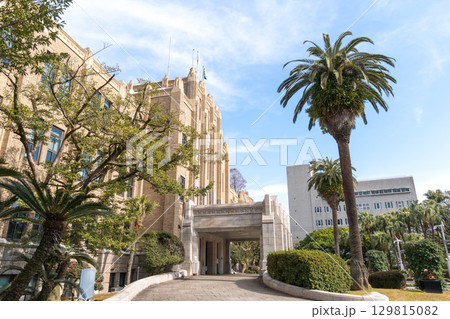 宮崎県庁本館と南国の風景を彩るヤシの木 129815082