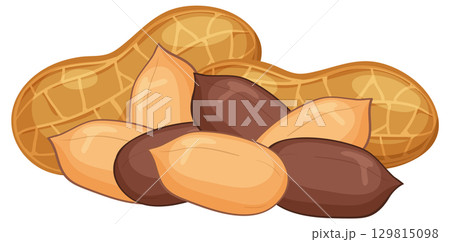 Vector Illustration of Peanuts in Shell and Shelled Nuts Vector Illustration of Peanuts in Shell and Shelled Nuts 129815098