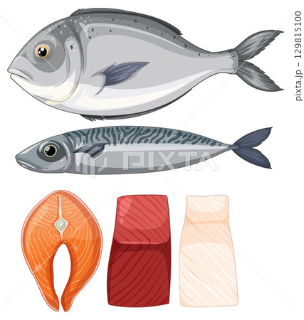 Whole Fish and Fillet Cuts Vector Illustration Whole Fish and Fillet Cuts Vector Illustration 129815100