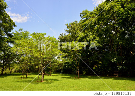 涸沼自然公園　2025-6-28　＃62 129815135