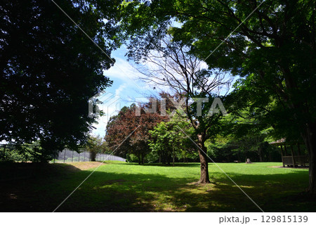 涸沼自然公園 2025-6-28 #66 涸沼自然公園 2025-6-28 #66 129815139