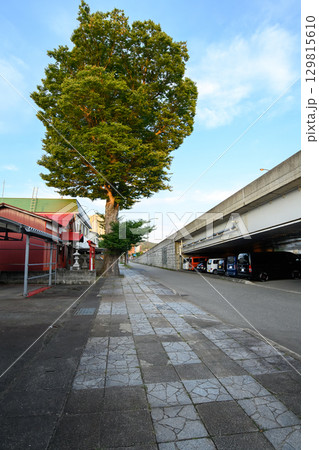 街中のご神木 秋田県横手市 街中のご神木 秋田県横手市 129815610