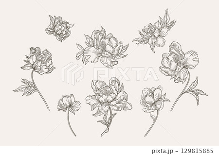 Set with peony flowers. 129815885