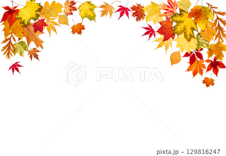 Autumn leaves on white isolated background 129816247