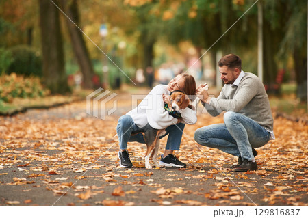 Fallen leaves are on the ground. Lovely couple are with their cute dog outdoors Fallen leaves are on the ground. Lovely couple are with their cute dog outdoors 129816837