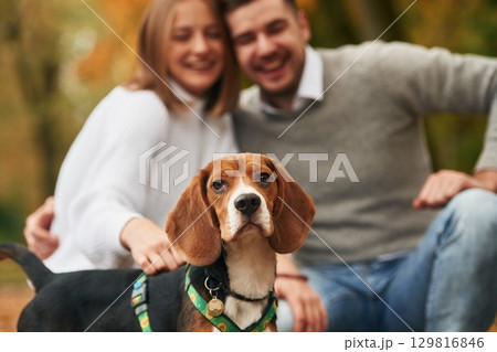 Sitting, resting. Lovely couple are with their cute dog outdoors 129816846