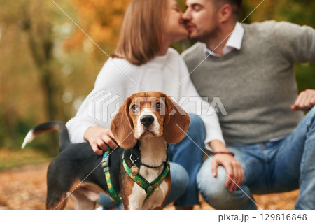 Sitting, resting. Lovely couple are with their cute dog outdoors Sitting, resting. Lovely couple are with their cute dog outdoors 129816848