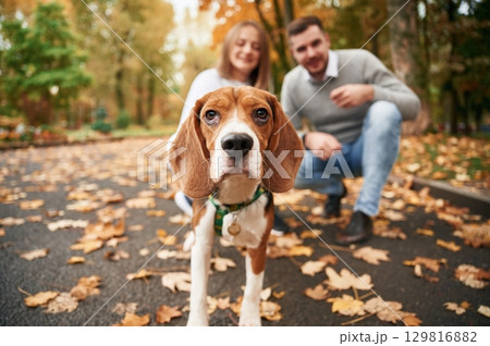 Focused portrait of pet. Lovely couple are with their cute dog outdoors 129816882