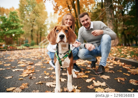 Focused portrait of pet. Lovely couple are with their cute dog outdoors Focused portrait of pet. Lovely couple are with their cute dog outdoors 129816883