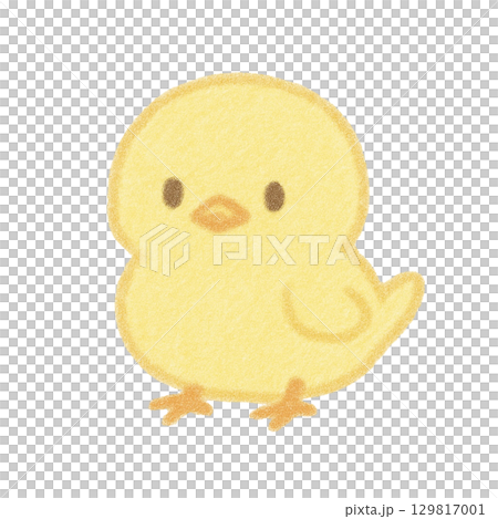 ひよこのイラスト 129817001