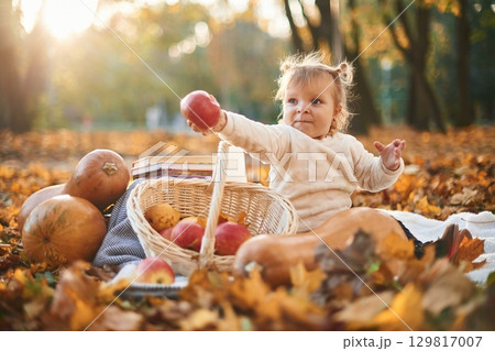 Little girl is sitting in the autumn park on the ground with butternut squash, basket of apples and pears Little girl is sitting in the autumn park on the ground with butternut squash, basket of apples and pears 129817007