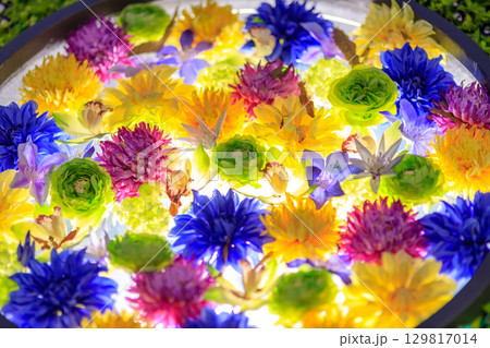 公園の夏祭りイベントの綺麗なイルミネーション 129817014