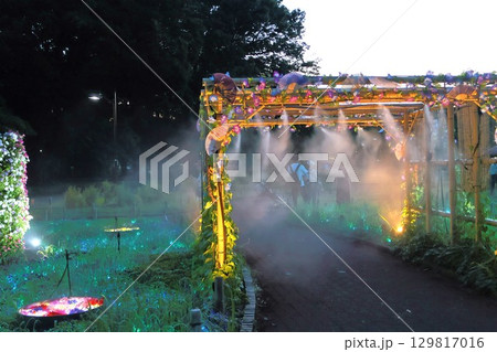 公園の夏祭りイベントの綺麗なイルミネーション 公園の夏祭りイベントの綺麗なイルミネーション 129817016