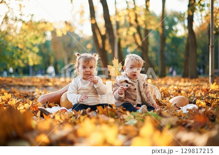 Two cute little kids are sitting in the park on the autumn fallen leaves and butternut squash Two cute little kids are sitting in the park on the autumn fallen leaves and butternut squash 129817215