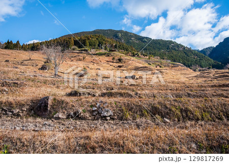 冬の丸山千枚田《三重県 熊野市》 冬の丸山千枚田《三重県 熊野市》 129817269