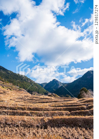 冬の丸山千枚田《三重県 熊野市》 冬の丸山千枚田《三重県 熊野市》 129817274