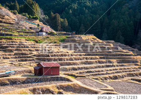 冬の丸山千枚田《三重県 熊野市》 129817283