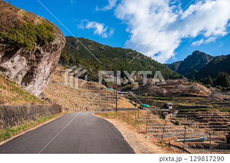 冬の丸山千枚田 大岩《三重県 熊野市》 129817290