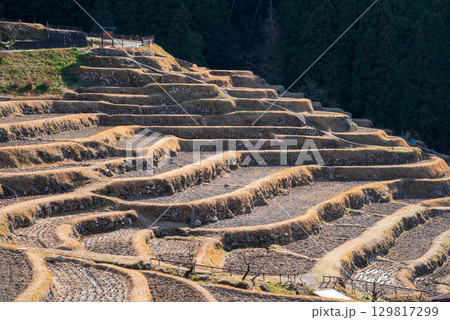 冬の丸山千枚田《三重県 熊野市》 129817299