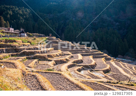 冬の丸山千枚田《三重県 熊野市》 129817305