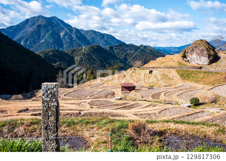 冬の丸山千枚田《三重県 熊野市》 129817306