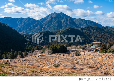 冬の丸山千枚田《三重県 熊野市》 冬の丸山千枚田《三重県 熊野市》 129817321