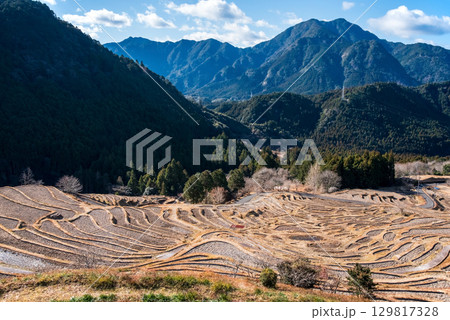 冬の丸山千枚田《三重県 熊野市》 冬の丸山千枚田《三重県 熊野市》 129817328