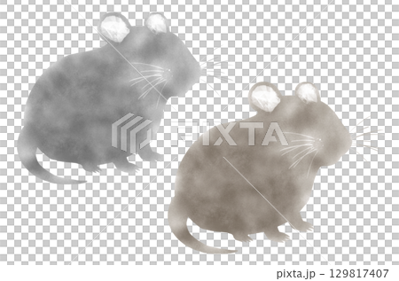 一隻老鼠 129817407