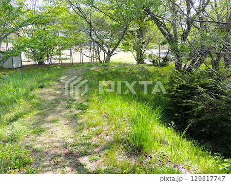 龍岡城五稜郭 土塁 龍岡城五稜郭 土塁 129817747