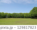 芝生と新緑の公園 129817823