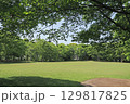 芝生と新緑の公園 129817825
