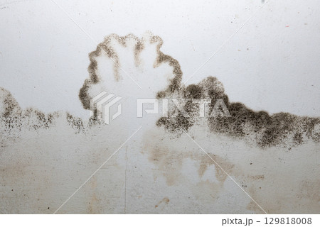 Flooding rainwater or floor heating systems, causing damage, peeling paint and mildew. 129818008