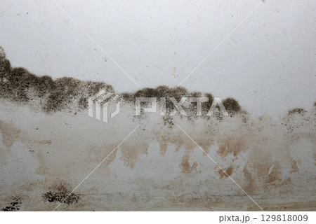 Flooding rainwater or floor heating systems, causing damage, peeling paint and mildew. 129818009