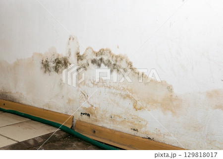 Flooding rainwater or floor heating systems, causing damage, peeling paint and mildew. Flooding rainwater or floor heating systems, causing damage, peeling paint and mildew. 129818017