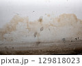 Flooding rainwater or floor heating systems, causing damage, peeling paint and mildew. 129818023